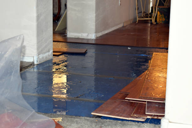 Professional Water Damage Restoration technician working in Unity, ME